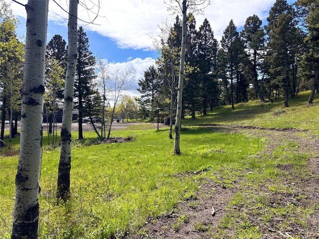 115 Grassy Mountain Rd, White Sulphur Springs, MT 59645 - view of yard