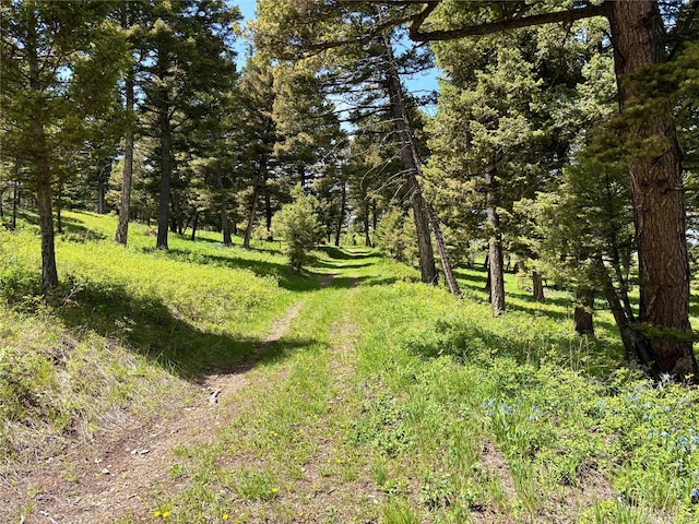 115 Grassy Mountain Rd, White Sulphur Springs, MT 59645 - view of local wilderness