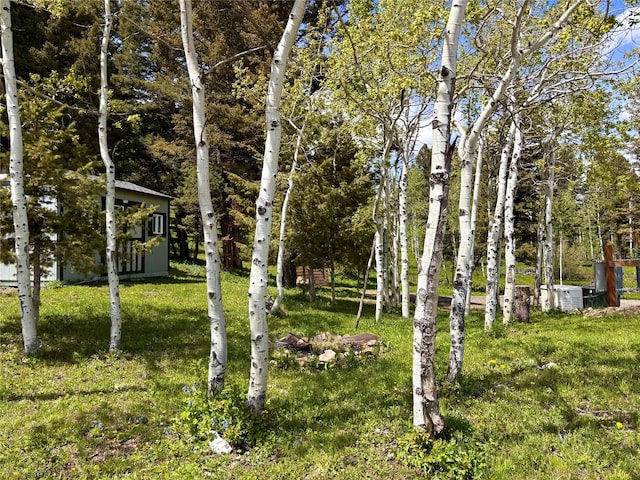 115 Grassy Mountain Rd, White Sulphur Springs, MT 59645 - view of grassy yard with central air condition unit