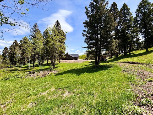 115 Grassy Mountain Rd, White Sulphur Springs, MT 59645 - view of green lawn