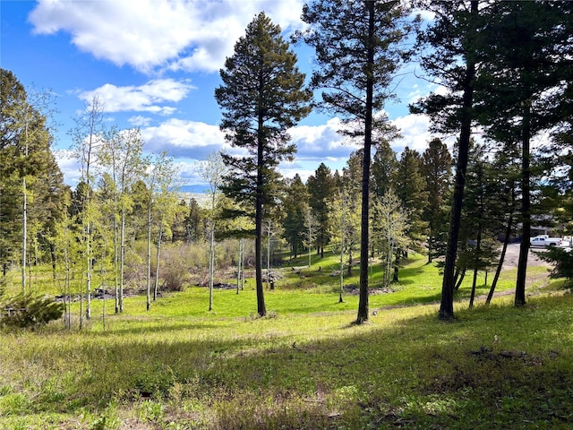 115 Grassy Mountain Rd, White Sulphur Springs, MT 59645 - view of undeveloped land