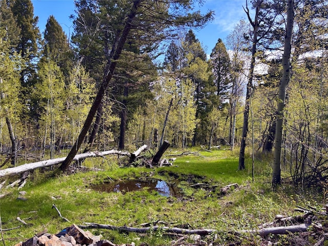 115 Grassy Mountain Rd, White Sulphur Springs, MT 59645 - view of undeveloped land