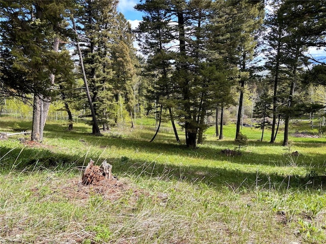 115 Grassy Mountain Rd, White Sulphur Springs, MT 59645 - view of nature