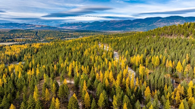 284 Garland Ln, Whitefish, MT 59937