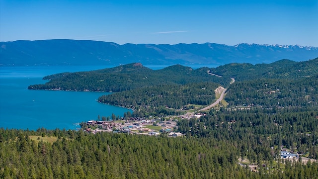 208 Hyden Ridge Rd, Lakeside, MT 59922 - mountain view with a heavily wooded area and a large body of water