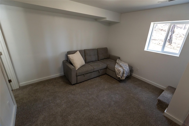 412 Bear Canyon Rd, Lakeside, MT 59922 - unfurnished living room with carpet and baseboards