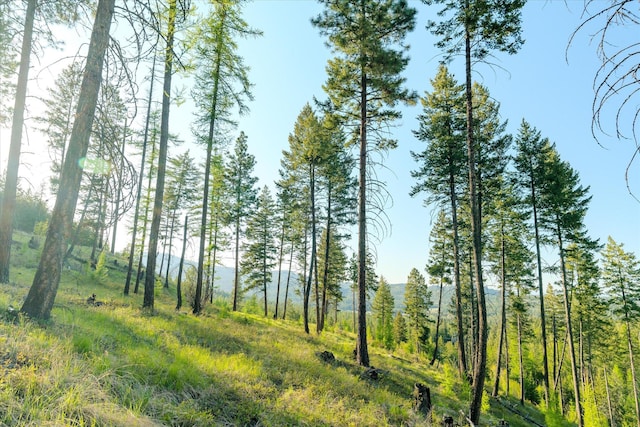 412 Bear Canyon Rd, Lakeside, MT 59922 - view of nature