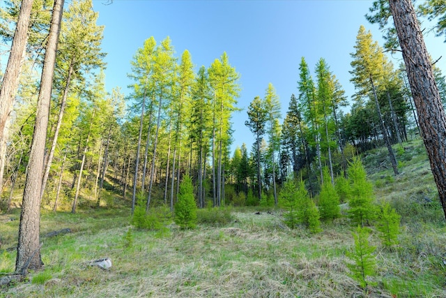 412 Bear Canyon Rd, Lakeside, MT 59922 - view of wooded area