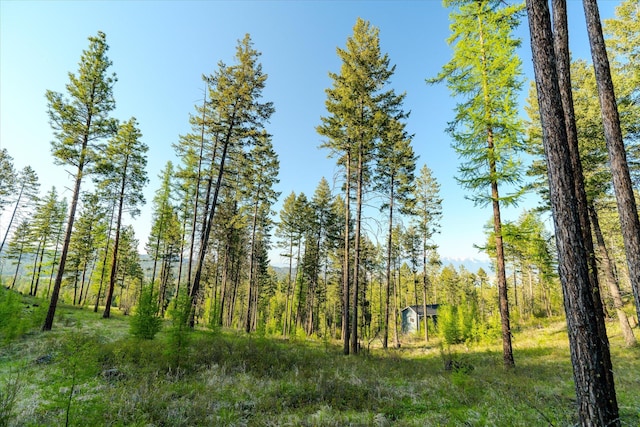 412 Bear Canyon Rd, Lakeside, MT 59922 - view of tree filled area