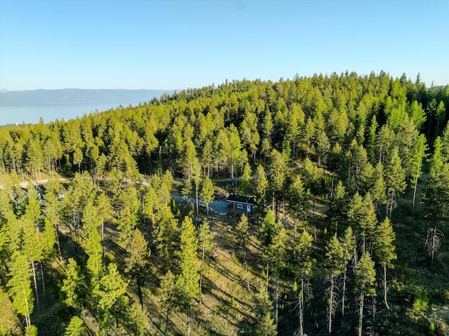412 Bear Canyon Rd, Lakeside, MT 59922 - bird's eye view of a heavily wooded area and a nearby body of water