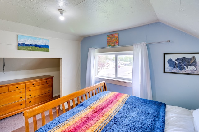 503 7th Ave W, Polson, MT 59860 - bedroom with vaulted ceiling