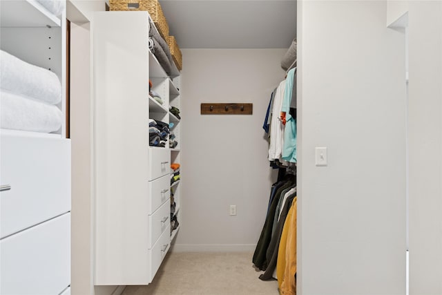 100 Woodlands Way Unit S305, Kalispell, MT 59901 - walk in closet with light carpet