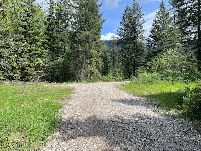 367 Lower River Rd, Heron, MT 59844 - view of street featuring a view of trees