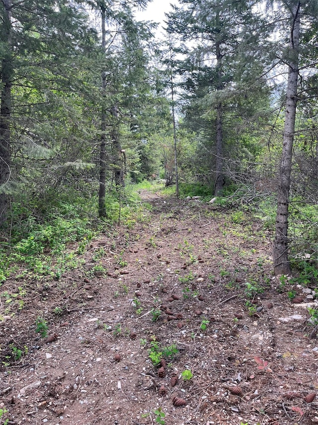 367 Lower River Rd, Heron, MT 59844 - view of tree filled area