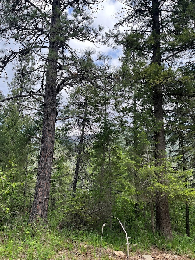 367 Lower River Rd, Heron, MT 59844 - view of woods