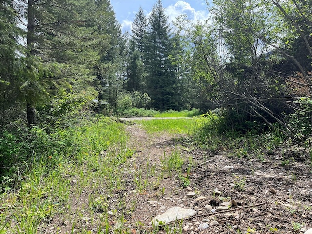 367 Lower River Rd, Heron, MT 59844 - view of woods
