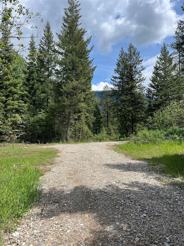 367 Lower River Rd, Heron, MT 59844 - view of street featuring a forest view