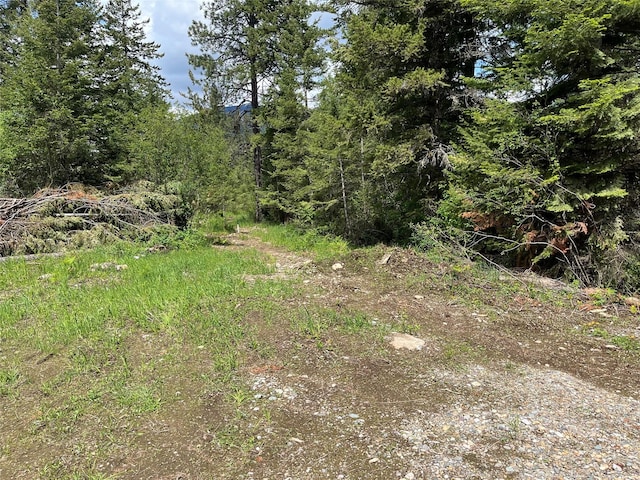 367 Lower River Rd, Heron, MT 59844 - view of nature