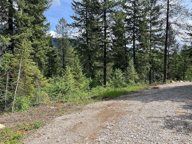 367 Lower River Rd, Heron, MT 59844 - view of wooded area