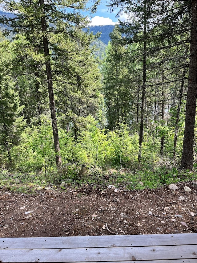 367 Lower River Rd, Heron, MT 59844 - view of woods