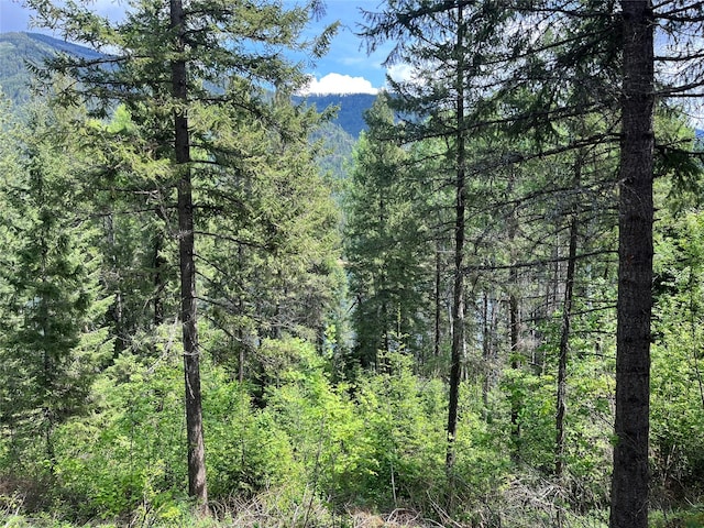 367 Lower River Rd, Heron, MT 59844 - view of woods with a mountain view