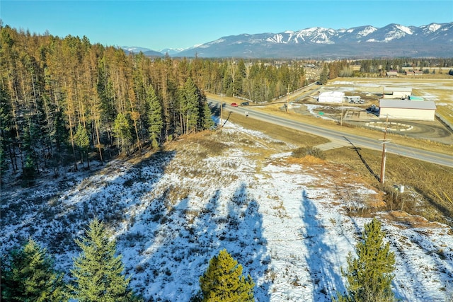4480 Mt Highway 40 W, Whitefish, MT 59937