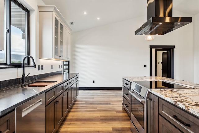 34544 Eagle Crest Dr, Polson, MT 59860 - kitchen featuring appliances with stainless steel finishes, exhaust hood, a sink, light wood-style flooring, and dark brown cabinetry