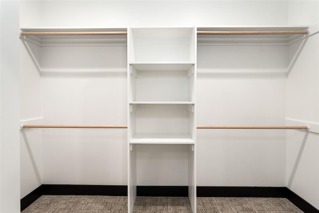 34544 Eagle Crest Dr, Polson, MT 59860 - view of spacious closet
