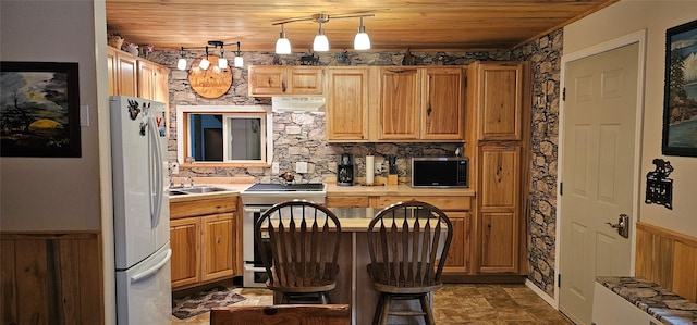 194 Whitetail Dr, Haugan, MT 59842 - kitchen featuring stainless steel electric range, freestanding refrigerator, under cabinet range hood, wooden ceiling, and light countertops