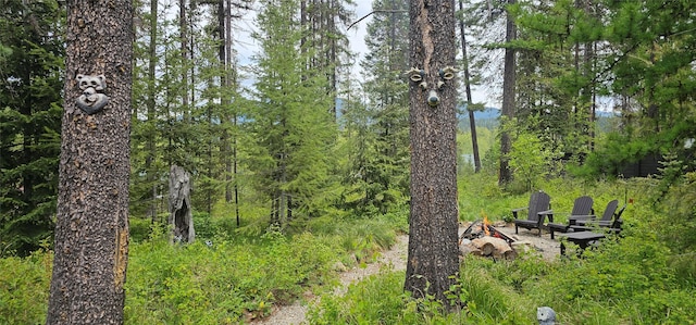 194 Whitetail Dr, Haugan, MT 59842 - view of yard