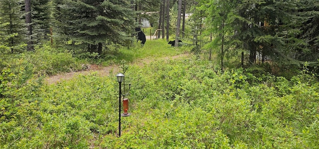194 Whitetail Dr, Haugan, MT 59842 - view of local wilderness