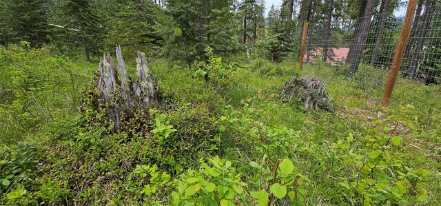 194 Whitetail Dr, Haugan, MT 59842 - view of undeveloped land