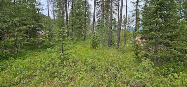 194 Whitetail Dr, Haugan, MT 59842 - view of woods