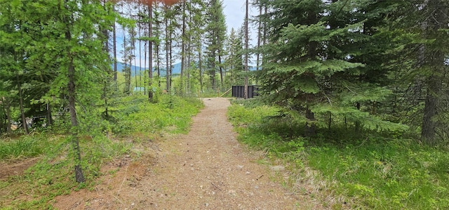 194 Whitetail Dr, Haugan, MT 59842 - view of road