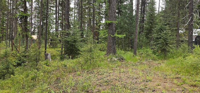 194 Whitetail Dr, Haugan, MT 59842 - view of wooded area