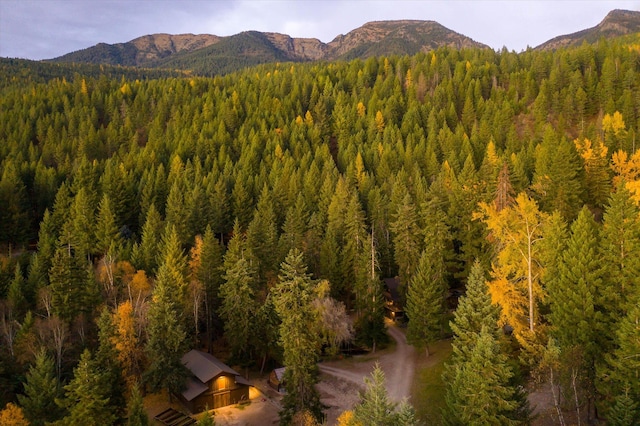 151 Handkerchief Creek Dr, Kalispell, MT 59901 - view of mountain background featuring a forest