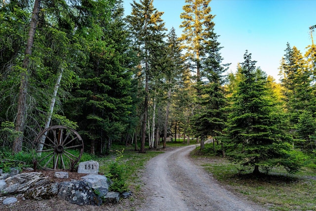 151 Handkerchief Creek Dr, Kalispell, MT 59901 - view of dirt / gravel road featuring a forest view