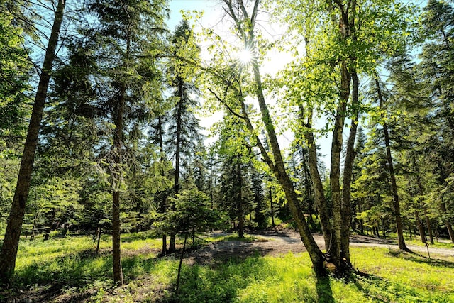 151 Handkerchief Creek Dr, Kalispell, MT 59901 - view of undeveloped land
