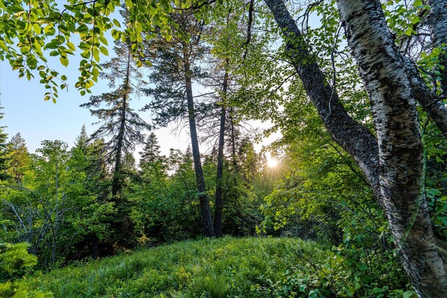151 Handkerchief Creek Dr, Kalispell, MT 59901 - view of front facade with a wooded view, an outdoor structure, and a barn