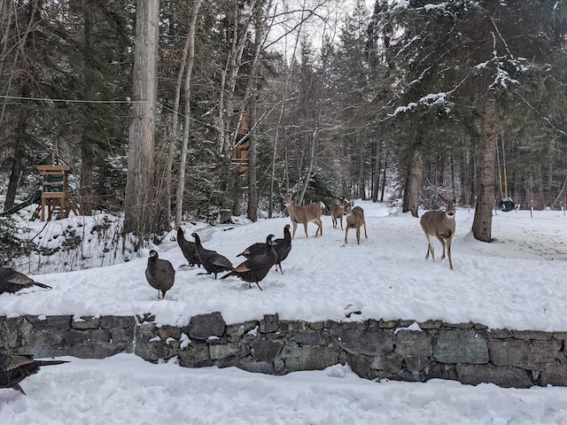 151 Handkerchief Creek Dr, Kalispell, MT 59901 - view of property's community