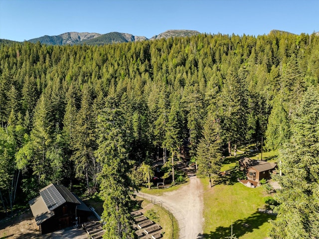 151 Handkerchief Creek Dr, Kalispell, MT 59901 - aerial view of a heavily wooded area