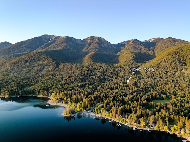 151 Handkerchief Creek Dr, Kalispell, MT 59901 - mountain view with a heavily wooded area and a large body of water