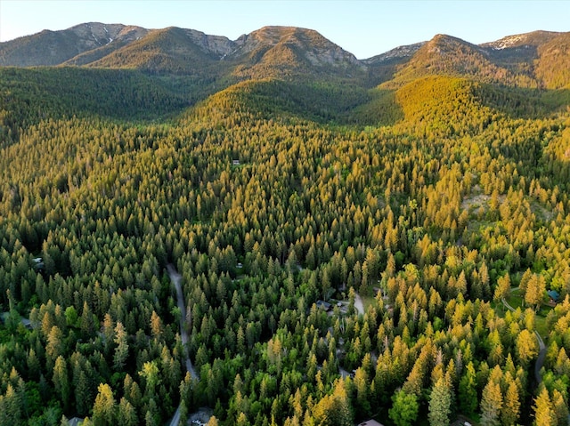 151 Handkerchief Creek Dr, Kalispell, MT 59901 - view of mountain background with a forest