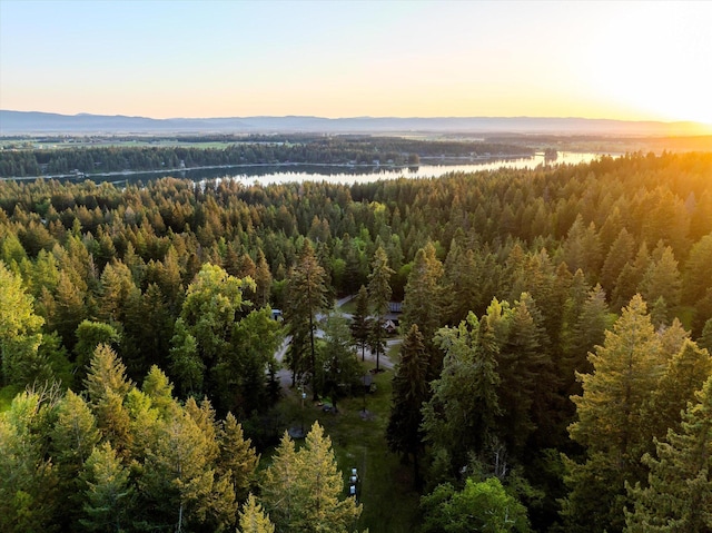 151 Handkerchief Creek Dr, Kalispell, MT 59901 - drone / aerial view of a heavily wooded area and a nearby body of water