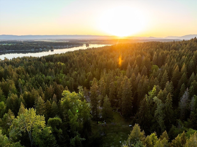 151 Handkerchief Creek Dr, Kalispell, MT 59901 - drone / aerial view of a forest and a nearby body of water
