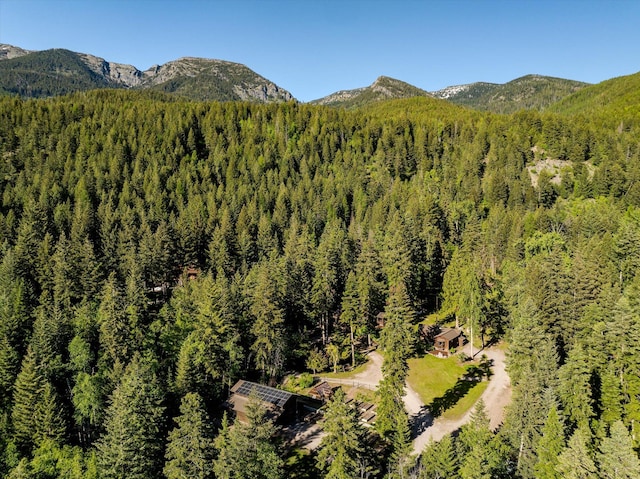 151 Handkerchief Creek Dr, Kalispell, MT 59901