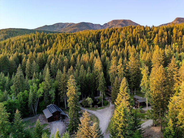151 Handkerchief Creek Dr, Kalispell, MT 59901 - mountain view with a forest