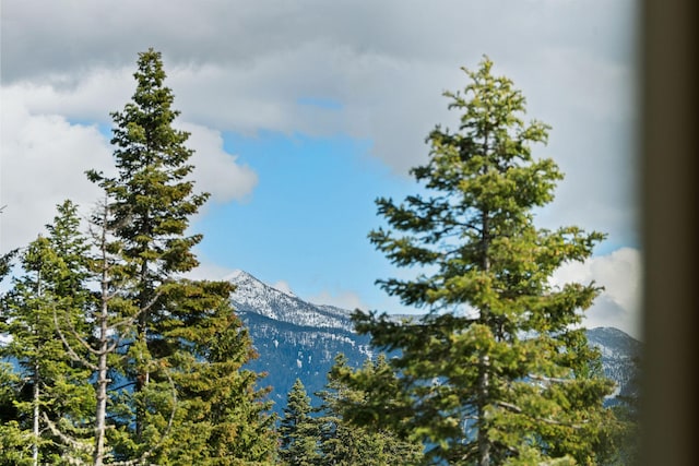 4111 Foothill Rd, Kalispell, MT 59901 - view of mountain backdrop