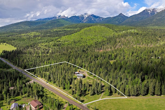 4111 Foothill Rd, Kalispell, MT 59901 - aerial overview of property's location with a forest and property parcel outlined