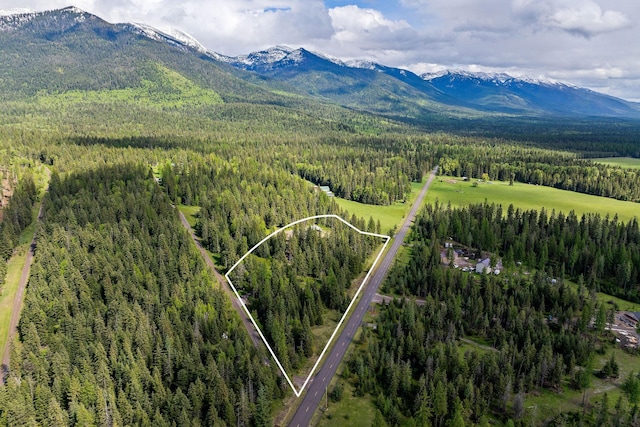 4111 Foothill Rd, Kalispell, MT 59901 - aerial view of property and surrounding area with property parcel outlined